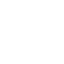 Icône Flux