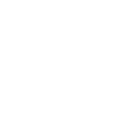 Icône IBM